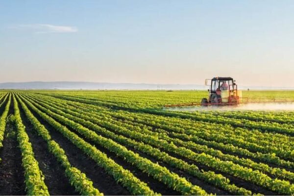 Sindh Government Increases Agriculture Productivity Goals