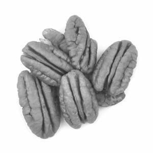 PHDEC Webinar Sheds Light on Pecan Nut